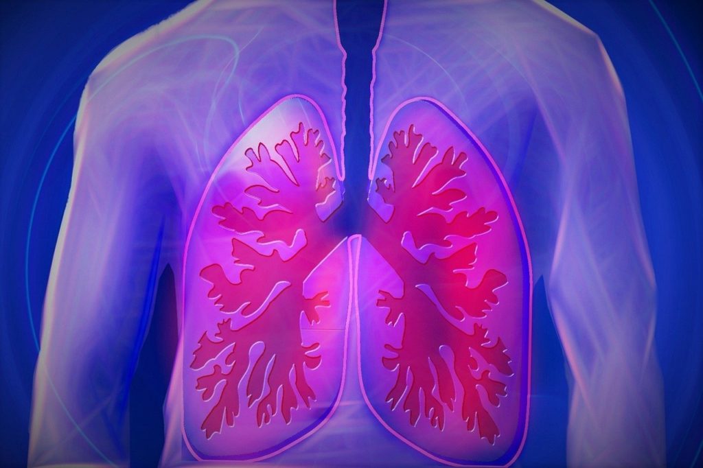 Inhaltsstoffe in der Lunge